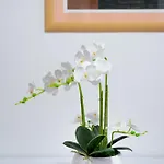 Theater 公寓 斯普利特
