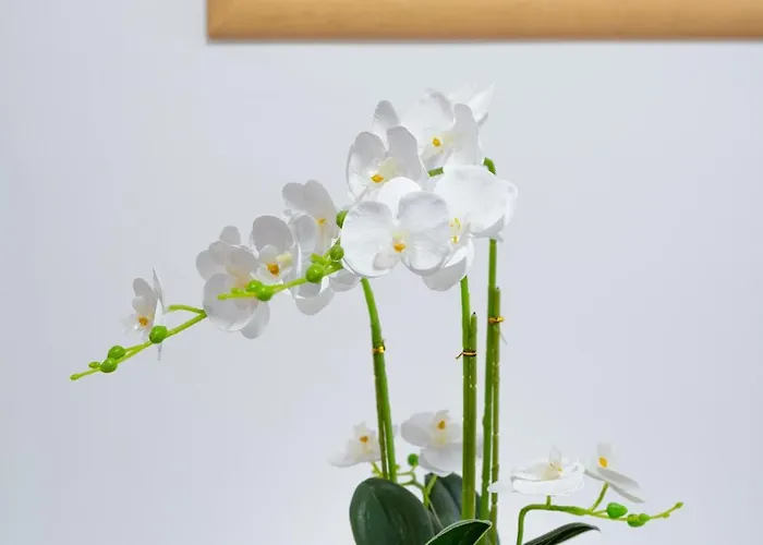 Theater Lejlighed Split